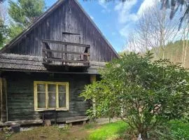 Chata leśna u Górala