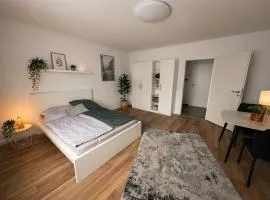 Modern Apartment with Kitchen and Free Parking