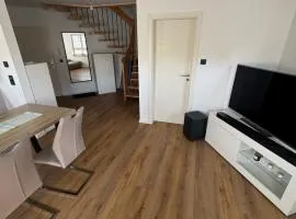 Modern, centrally located apartment in Oberhof