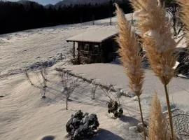 Haus Vogl - Fewo mit priv. Sauna und traumhaften Salzwasser-Pool