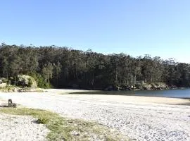 Meloxeira