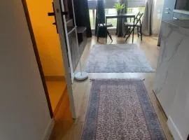 Charming studio in Paris 12th arrondissement