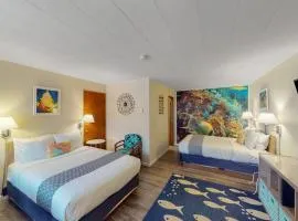 4 Studios walkable to downtown Dog Friendly WiFi