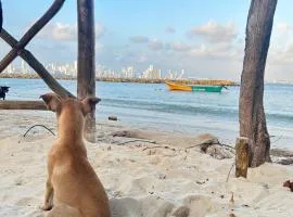 Mango Tree Island 420