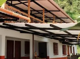La TOLVA Café & experiencia