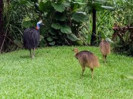 Birdwatcher's Oasis - Tiny Home - Cassowary