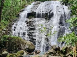 CHAMBRE en PLEINE FORÊT EN BAS DU PIC MALAOUI