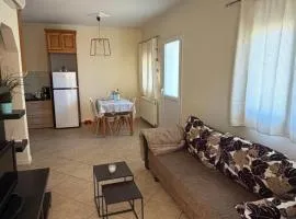 Renas' Apartments in Chios island