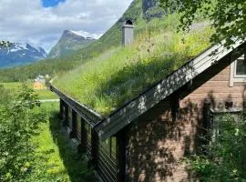 Cozy log cabin in Geiranger