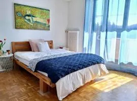 Fribourg Home Studio