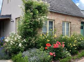 Cottage an der Müritz - großer Garten mit Pool - Außenküche und Grill - Kanus und Fahrräder kostenfrei, hotel en Buchholz