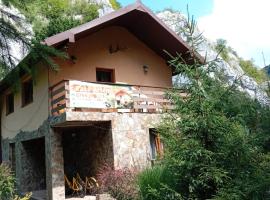 CASA ARTEMI, hotel i Remeţi