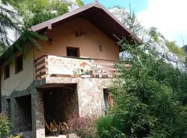 CASA ARTEMI