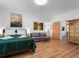 Central, Kitchen, Wi-Fi, 58 sqm
