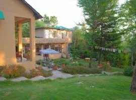 Misty Mountain Retreat