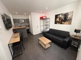 Studio Le Lotus Charme Vieux Orléans