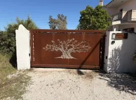 House Mia