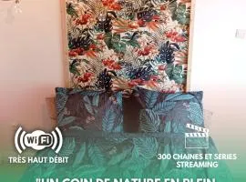 Le studio Naturel