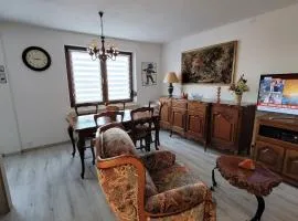 Appartement charmant à Loutzviller avec terrasse