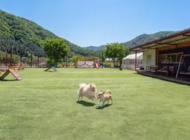Gapyeong Funny Mongmong Galaxy House