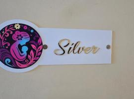 Janani Silver Apartment Chathannoor, Kottiyam, Hotel in Kottiyam