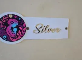 Janani Silver Apartment Chathannoor, Kottiyam