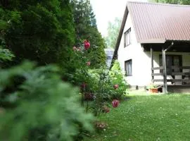 Domek Mazury u Basi
