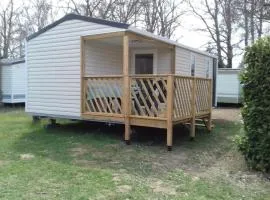 Mobil-home avec animaux admis - 6 pers. - API-1-52-2679