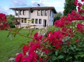 Villa Borika, hotel in Borika