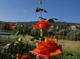 SOFIAS VILLAGE VIEW a