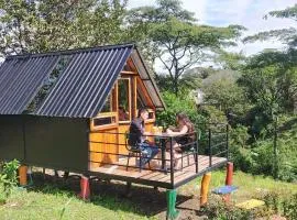 Cabañas tipo glamping