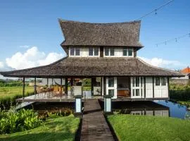 Japanese Style Koi Pond Villa