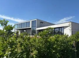 Wijndomein Leine