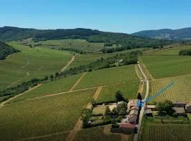 Le Tinailler Gite d'exception au coeur des Vignes- Deux suites parentales - Amazing place