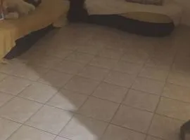 Πεύκο & θάλασσα