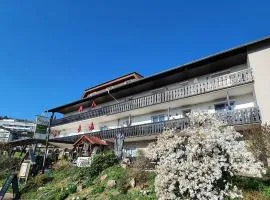Haus am Park