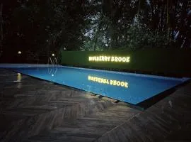 mulberry homestay wayanad