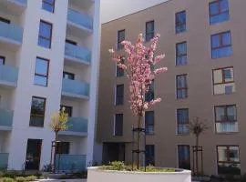 Apartament 600 metrów od szpitala przy Unii Lubelskiej wraz z prywatnym miejscem parkingowym