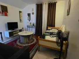 PR05 Apartment close to all shops, Le Bourget Airport