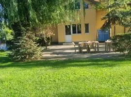 Pension Puiu