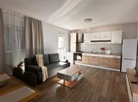 Duplex modern In Dumbravita Curte si parcare privata