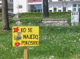 Kotiček & Čatež & Paradiso