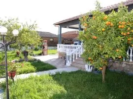 Jannas House