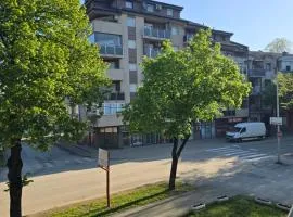 Apartman Wegele Teslic