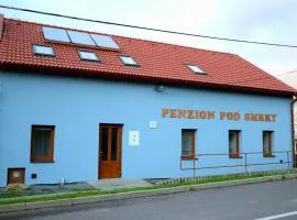 Penzion Pod Smrky