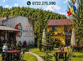 Pensiunea Deceneu, Hotel in Slănic