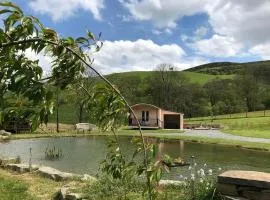 1 Bed in Llangammarch Wells oc-bn089