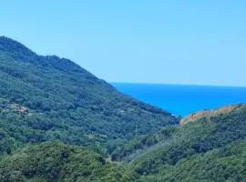 Lumira Vista Panorama