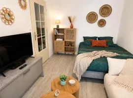 Le 28 Studio - Terrace & jardin Proche Tram