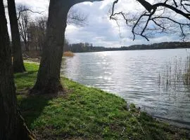 Mazurska Puszcza